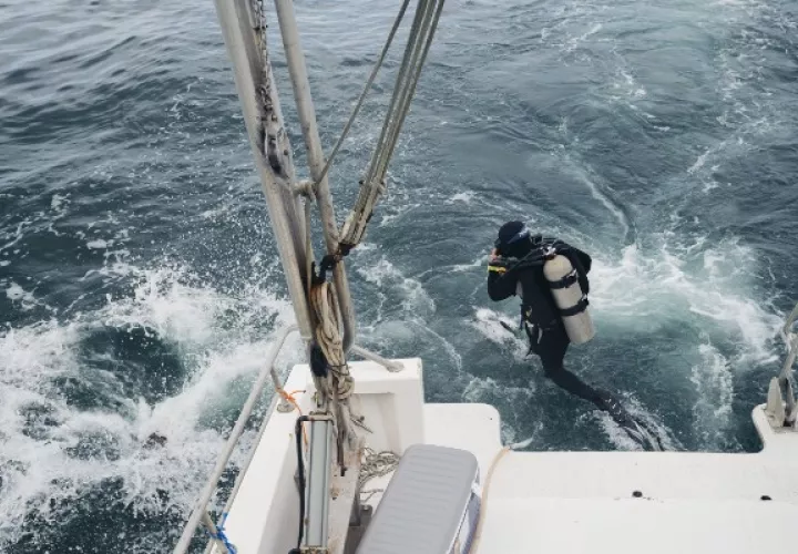 ref_06_underwater2-0_0.jpg
