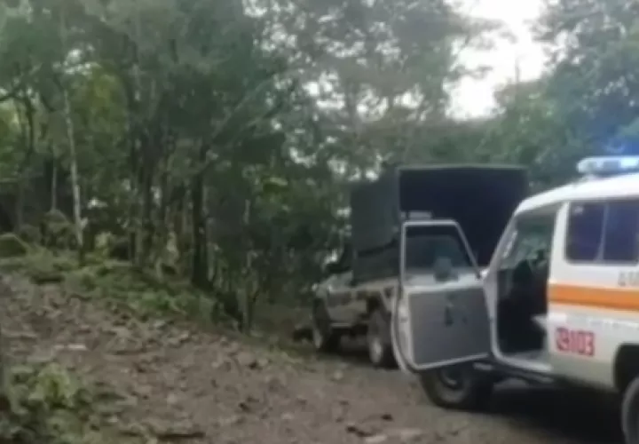 Se conoció que el ciudadano sufrió graves heridas, en la cabeza, brazos y otras partes del cuerpo, producto que la rama que cayó sobre él, aplastándolo, por lo que su condición es delicada.