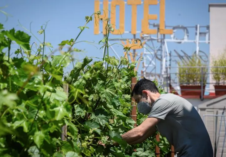 Apuestan al turismo interno para luego poder abrir fronteras. EFE