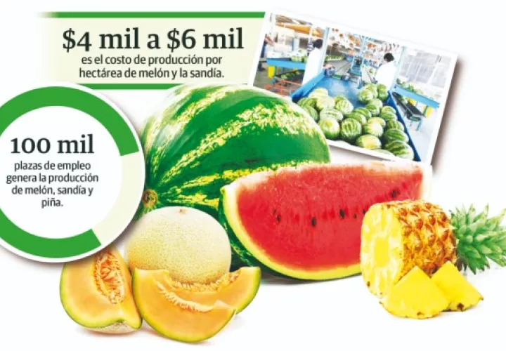 La situación se torna bien difícil para los productores porque desde hace varios años vienen de una caída en las exportaciones, por lo que piden el apoyo del Gobierno Nacional.