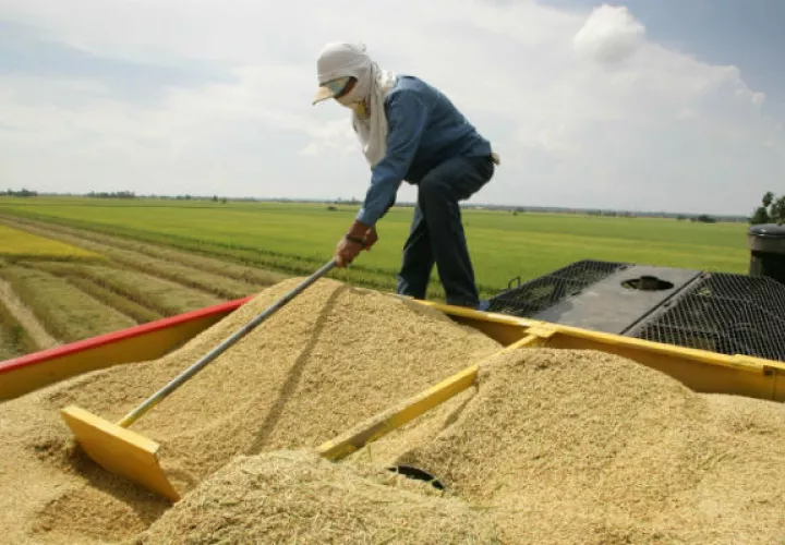 Valderrama hizo un llamado a los productores para que utilicen los salvoconductos de buena manera y no para uso incorrecto.