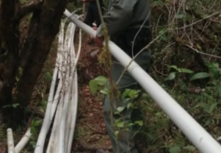 Los tubos ubicados en el sector de Los Llanos en el corregimiento de Paso Ancho en el distrito de Tierras Altas, oscilaban entre 2.0 y 2.5 pulgadas de diámetro.