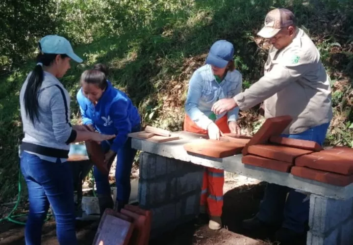 “Un pickup tiene capacidad de 3.60 metros cúbicos (m³) de leña, es decir que al cocinar en un fogón tradicional se consumen por mes 10.8 m³ de leña, lo que equivale a aproximadamente tres árboles.