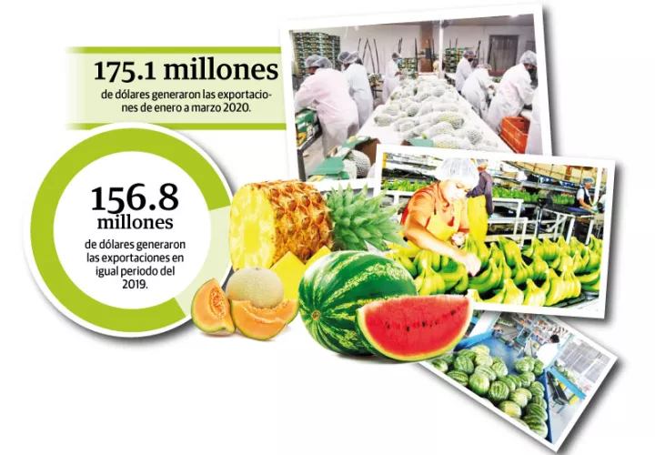 Panamá se puede enfocar como un hub agroalimentario utilizando la capacidad logística y la red de Tratados de Libre Comercio (TLC).