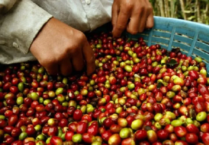 Principales proveedores de Honduras son EE.UU., Centroamérica.
