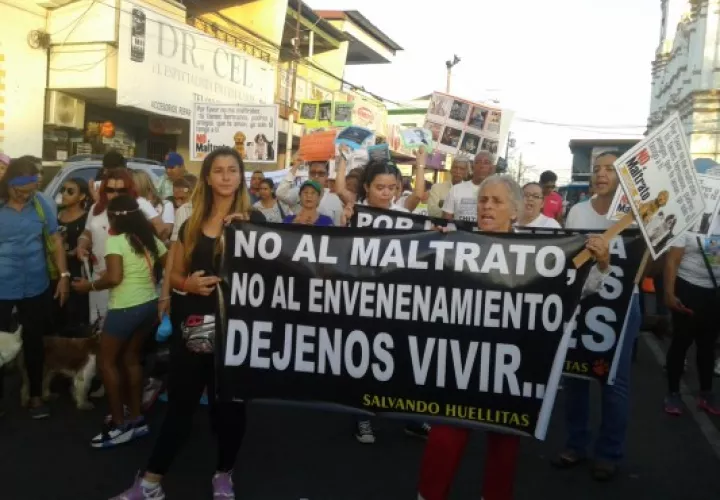 Los grupos protectores de los animales exugen que se haga cumplr la ley.