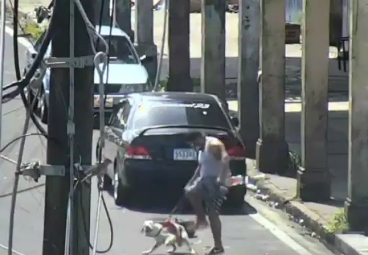 Llevaba al perro arrastrando una llanta y lo patea. Foto: Diómedes Sánchez.