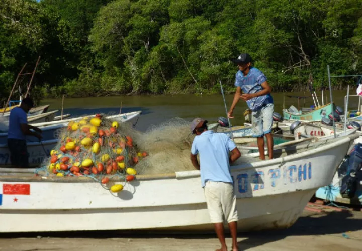  La pesca ilegal es la mayor amenaza para la sostenibilidad de los recursos pesqueros. Fotos: Archivo/Ilustrativa. 
