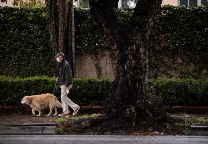 Cuatro mil pasos más por día, a cualquier ritmo, reducen el riesgo de muerte temprana en 50 por ciento, dice estudio. Foto / Etienne Laurent/EPA, vía Shutterstock.