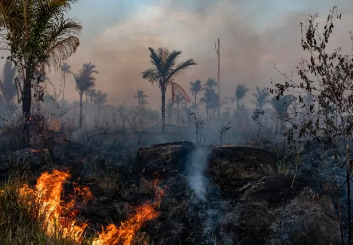 Una quema en la Amazonia para desmontar tierra para ganado en Mato Grosso, Brasil. Las quemas con frecuencia se vuelven incendios forestales. Foto / Victor Moriyama para The New York Times.