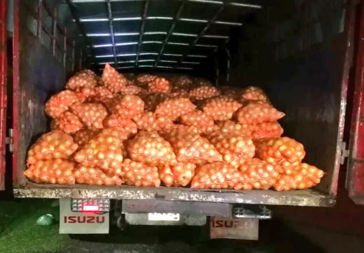 El decomiso se realizó en la provincia de Chiriquí. 