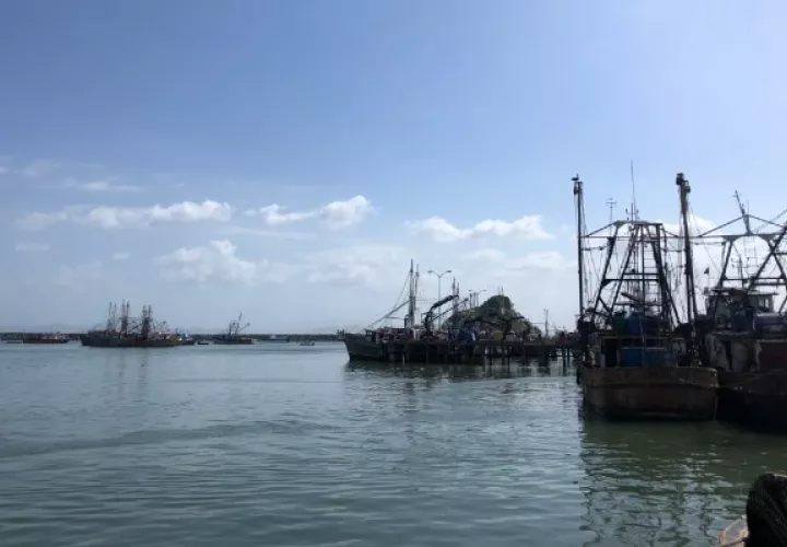 Por otro lado se informó que las estadísticas de exportación al mes de marzo de 2020 en la industria pesquera y en la acuicultura muestran resultados positivos en algunos los productos como lo son los camarones con B/. 4.4 MM con un incremento del 45 %.