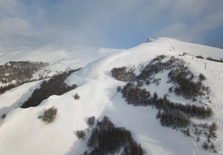 Luján señaló que "el hecho de las bajas temperaturas que se han producido complican mucho más porque congela toda la nieve y esto provoca que los animales no se puedan movilizar, no puedan encontrar lugares donde tomar agua y alimentarse y esto va deteriorando al animal hasta su muerte".