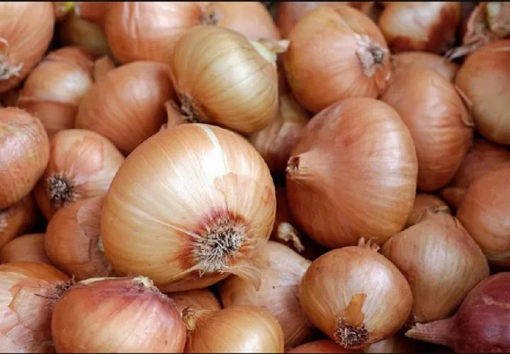 La cebolla es uno de los productos más consumidos en el país. Archivo