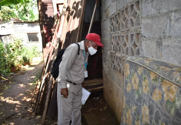 Las autoridades destacan que en el corregimiento de Chiriquí se registra un nivel de infestación de aedes aegypti por el orden del 7.6%.
