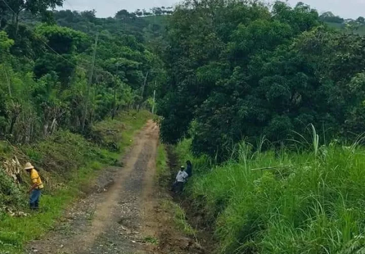 Se le solicita a los ciudadanos de la costa atlántica que eliminen los criaderos del mosquito transmisor del dengue,