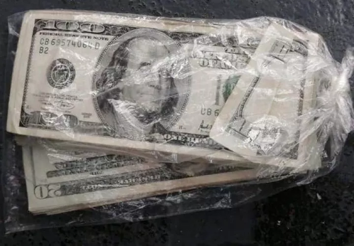 Se presume que el dinero, que estaba dentro de bolsas plásticas, provenían de actividades ilícitas,