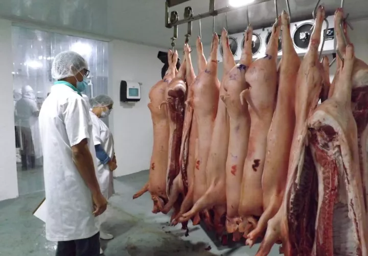 Unos 30 productores de las provincias de Los Santos, Colón, Panamá y Panamá Oeste comercializaron sus productos 100% nacionales.