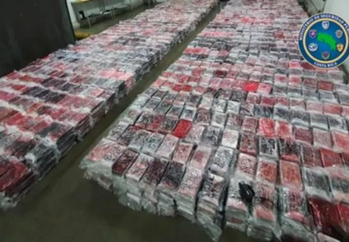 El 18 de mayo ubicó dos contenedores con 550 kilogramos de cocaína en el muelle Gastón Kogan, en la provincia de Limón; la droga estaba escondida en las paredes y tenía como destino Puerto Barrios, Guatemala. FOTO/REVISTA DIÁLOGO AMÉRICA