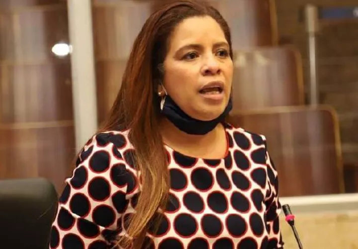 La diputada Corina Cano, presentó el proyecto del ley el pasado 21 de julio. Cortesía