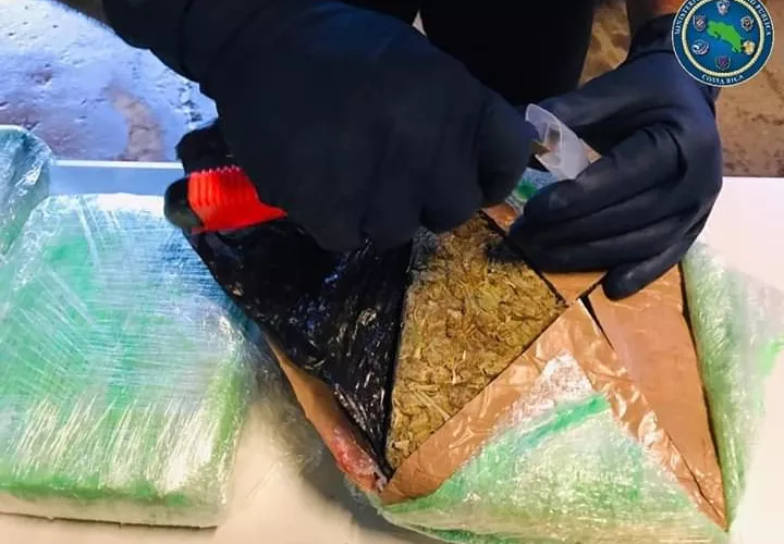 Aprehendieron a dos hombres y decomisaron una carga de aparente marihuana, dinero en efectivo al igual que el vehículo donde se trasladaban.