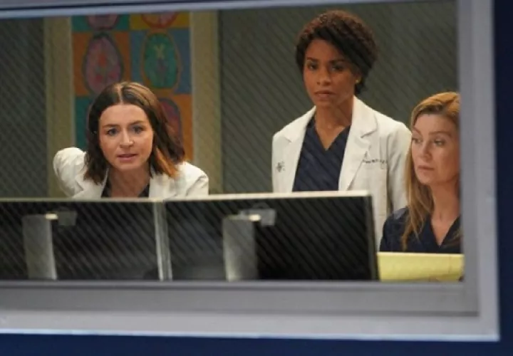  "Grey's Anatomy" tiene 16 temporadas. Foto: Twitter