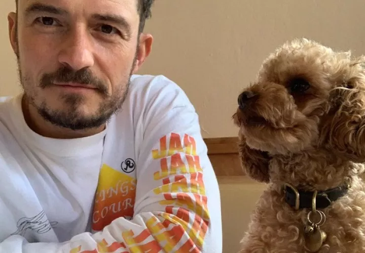  Orlando Bloom y Katy Perry dedicaron cuerpo y alma a la búsqueda de la mascota. Foto: Instagram