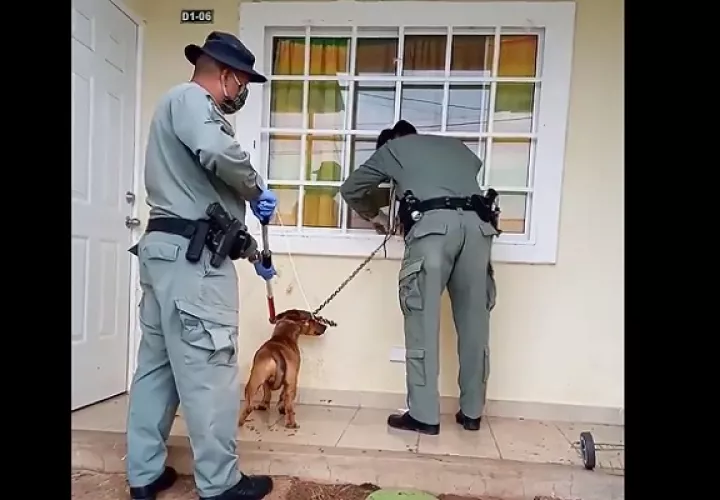Caso reportado en La Valdeza, Panamá Oeste.