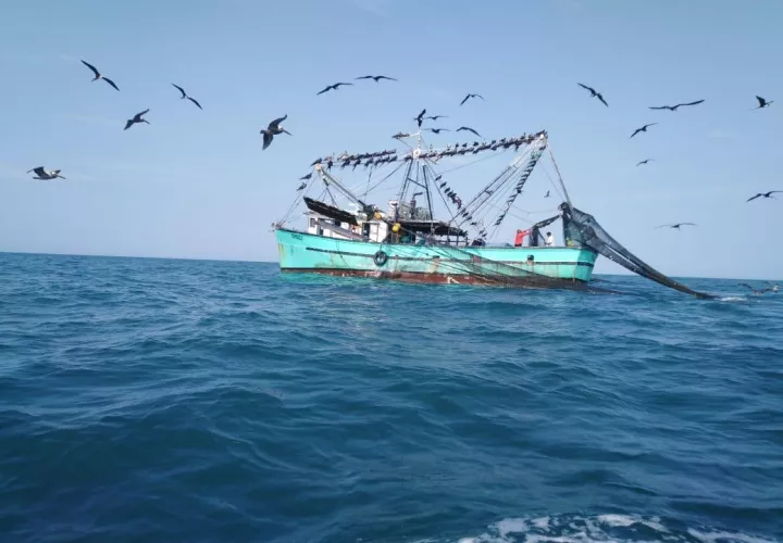 En la misiva se les reiteró el compromiso del Acuerdo sobre las Poblaciones de Peces Transzonales y las Poblaciones de Peces Altamente Migratorios, así como el Código de Conducta para la Pesca Responsable.