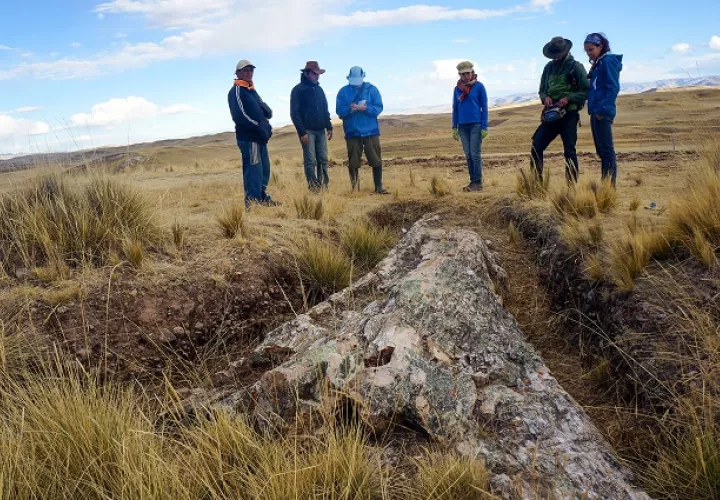 Árbol fósil encontrado al sur de Perú. Foto: Rodolfo Salas Gismondi