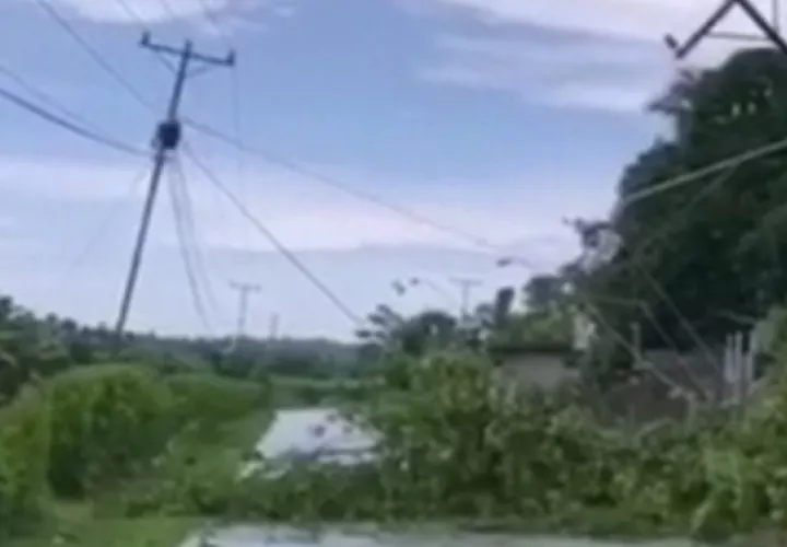 En el sector de finca 44 los fuertes vientos causaron la caída de postes del tendido eléctrico, dejando sin el suministro de energía a miles  de personas. 