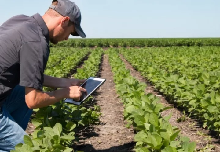 En un plazo de dos años, se espera que unos 200 mil pequeños agricultores del noreste de Brasil. Foto/EFE