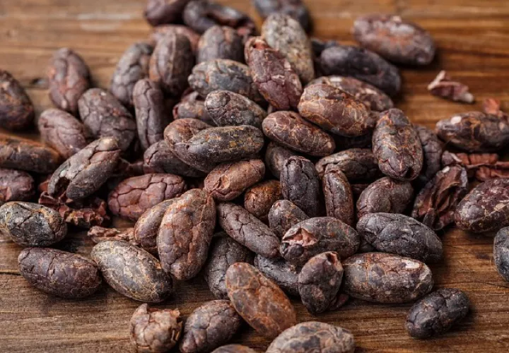 Trabajos en torno al cultivo de cacao.  Ilustrativa/Pixabay