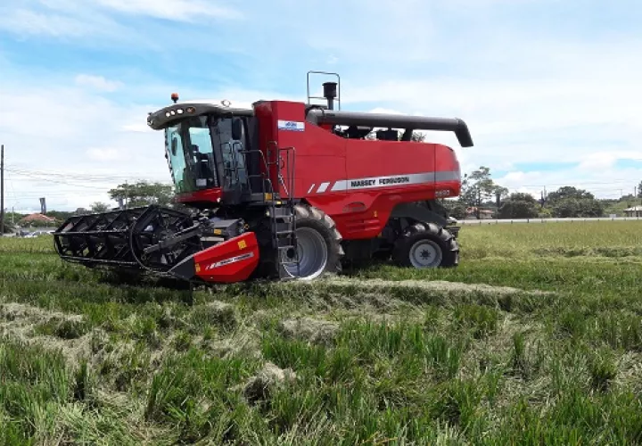 Todos los años surge en medio de la cosecha la incertidumbre por el pago de los $7.50 por quintal de arroz, lo cual puede ser superado con sacar el arroz de la regulación de precio. 