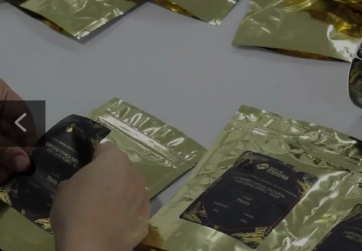 Pese a la pandemia que se registra en todo el mundo hay un interés por los compradores de café especial los cuales ya han cumplido con el proceso para inscribirse en la actividad.