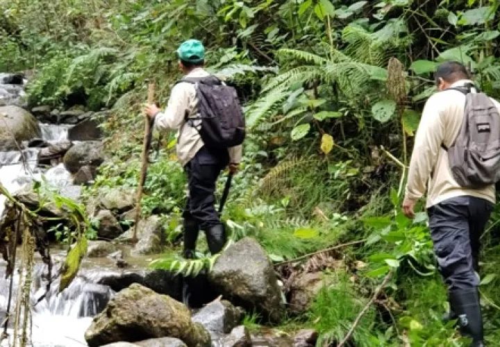 El año pasado se realizaron 893 patrullajes; siendo 92 patrullajes acuáticos y 801 acuáticos.