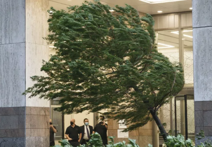 La víctima mortal  estaba en el interior de su vehículo en el distrito de Queens cuando un árbol cayó sobre él. Fotos: EFE.