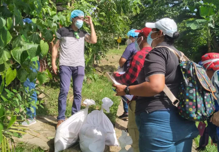 De acuerdo con las autoridades, para la provincia de Panamá Oeste se requiere un mínimo de 15 Equipos Unificados de Trazabilidad,