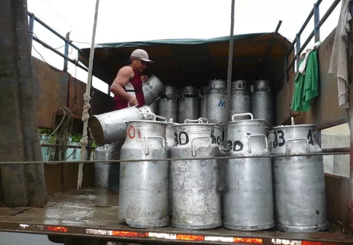 El periodo en que las plantas costarricenses estaban habilitadas para exportar a Panamá venció el pasado 30 de junio. Foto/Archivo