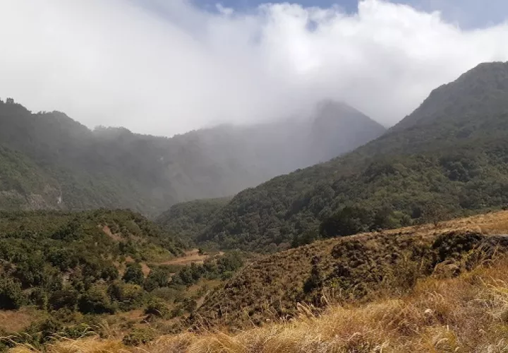 En 2019 se registraron 1,117 incendios de masa vegetal a nivel nacional, 57 dentro de áreas protegidas y 1,060 fuera de ellas.