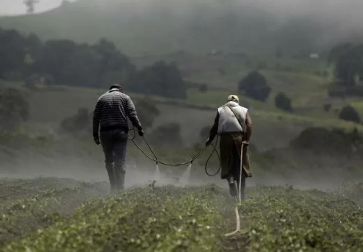 Hay que potenciar el sector. Archivo