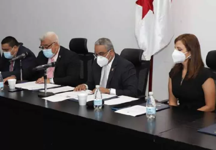 El diputado Víctor Castillo dijo que quizás el proyecto 356 podría discutirse en II debate la próxima semana. Asamblea Nacional