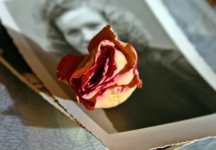 Cada martes se aborda un tema distinto relacionado con la fotografía con personalidades reconocidas. ILUSTRATIVA / PIXABAY