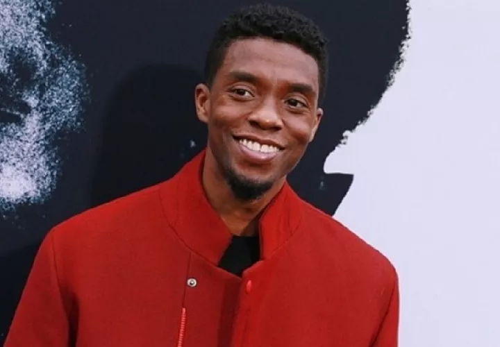 Chadwick Boseman ganó cinco premios por su participación en la cinta 'Black Panther'. Foto: Instagram