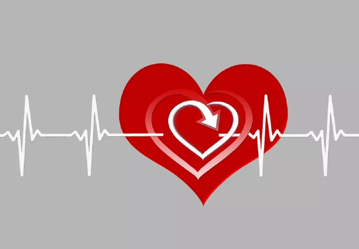 El corazón es el músculo más fuerte del cuerpo.  Pixabay