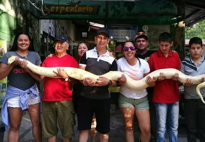 El serpentario recibirá a los visitantes por grupos.