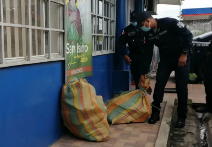 La presunta marihuana incautada en San Carlos, estaba en tres sacos. Fotos: Eric A. Montenegro.