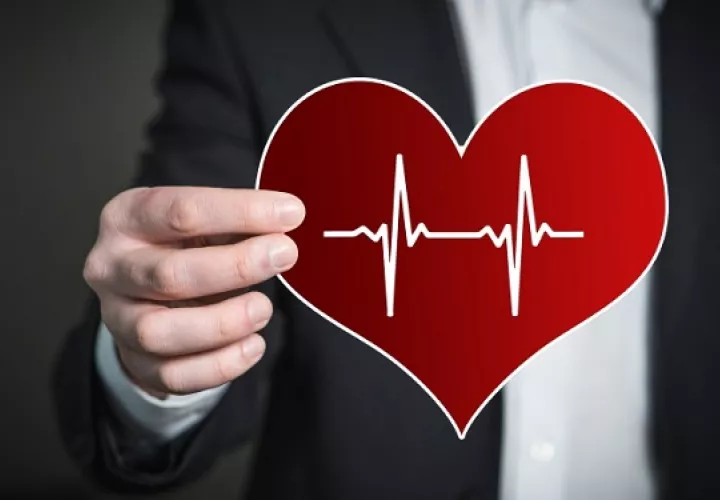 Durante este mes se trabaja en la promoción y prevención de las enfermedades cardiovasculares. Foto: Ilustrativa / Pixabay