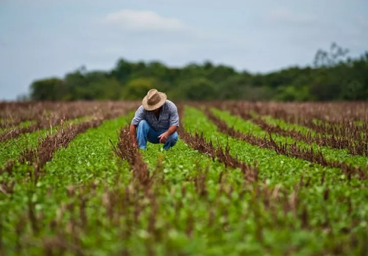 El objetivo es que se reconozca la competitividad del sector exportador agrícola mexicano. EFE