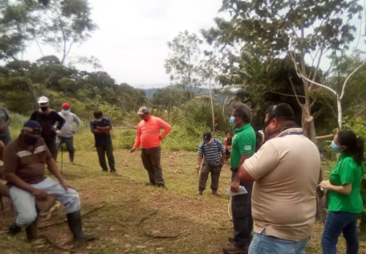 Según funcionarios de MiAmbiente, parte del terreno había sido quemado. Fotos: Eric A. Monenegro.